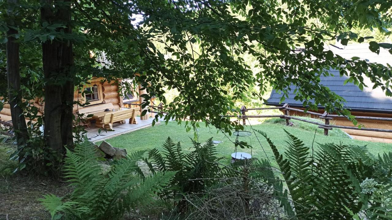 Osada Mala Kozowka Villa Myślenice Buitenkant foto