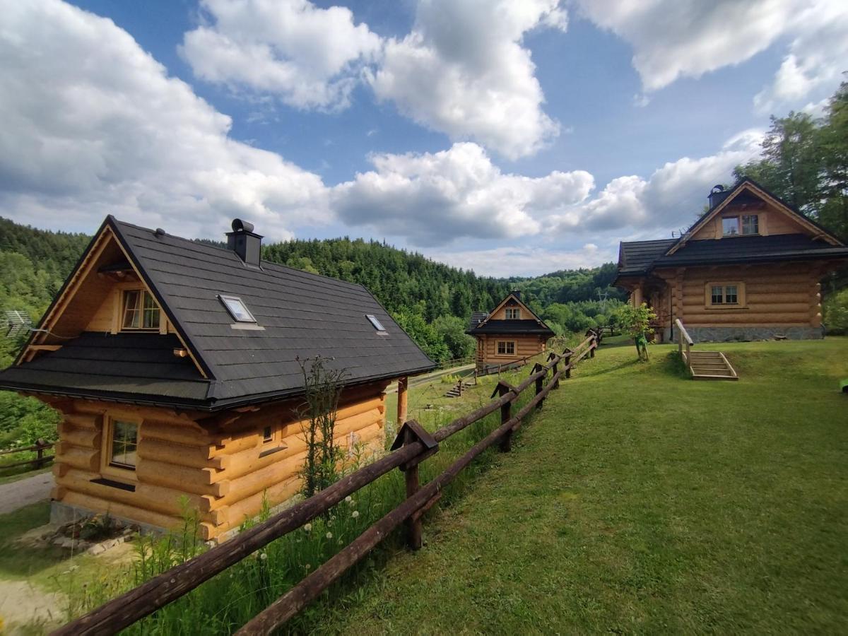Osada Mala Kozowka Villa Myślenice Buitenkant foto